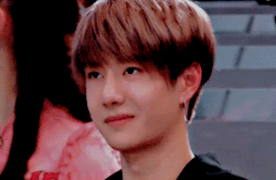 Yibo