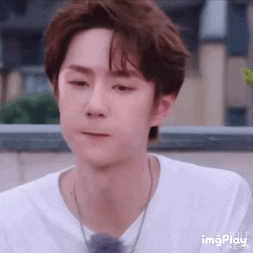 Yibo
